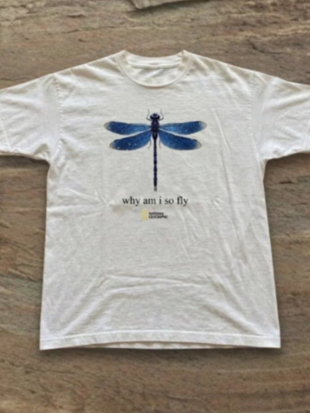 Blue Dragonfly Graphic T-Shirt Nature Inspired Vintage Style White Tee